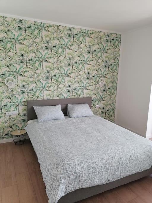 Locatia Perfecta In Centru Appartement Cluj-Napoca Buitenkant foto